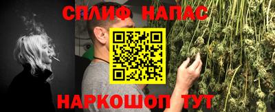 шишки Заводоуковск