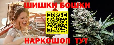 шишки Заводоуковск