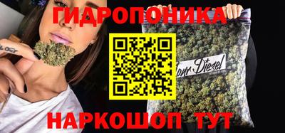 шишки Заводоуковск