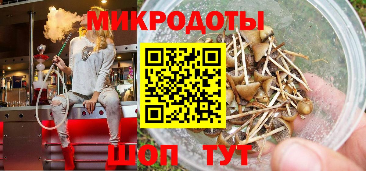 Карачаевск  сколько стоит  Вход с VPN  Псилоцибиновые грибы мухоморы  Галлюциногенные грибы ЛСД 