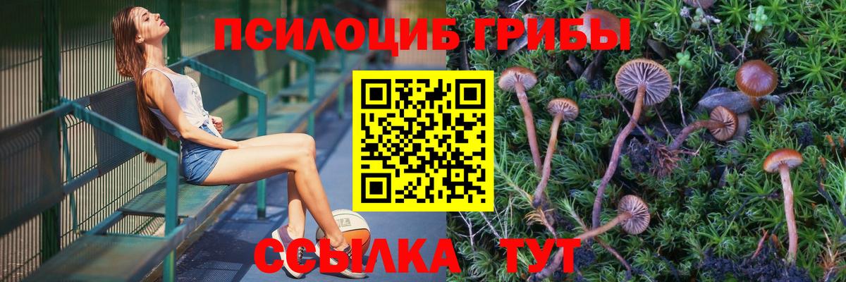 Галлюциногенные грибы Cubensis Карачаевск